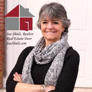 Sue Shiels – Real Estate Agent photo